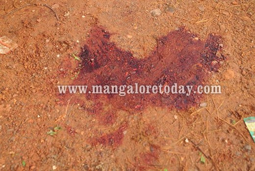 Murder at Thokkottu